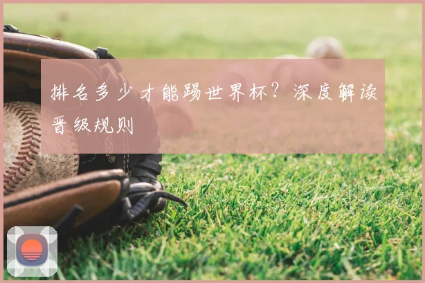 排名多少才能踢世界杯?深度解读晋级规则