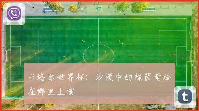 卡塔尔世界杯:沙漠中的绿茵奇迹在哪里上演