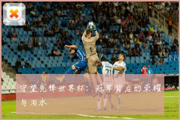 守望先锋世界杯：冠军背后的荣耀与泪水