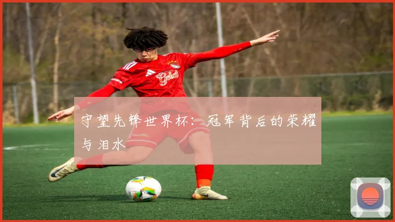 守望先锋世界杯：冠军背后的荣耀与泪水